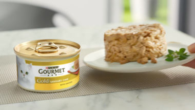 Gourmet cake discount cat food